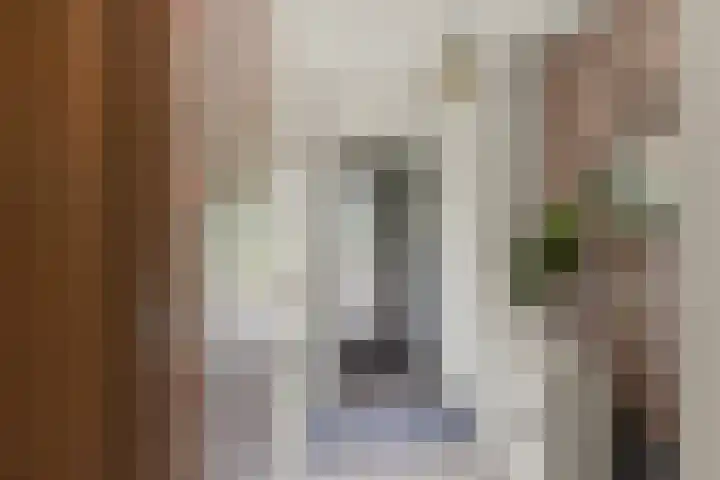Vijfkamp 15 Krimpen aan den IJssel thumbnail 13