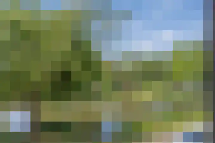 Vijfkamp 15 Krimpen aan den IJssel thumbnail 21