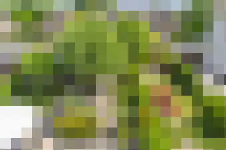 Vijfkamp 15 Krimpen aan den IJssel thumbnail 34