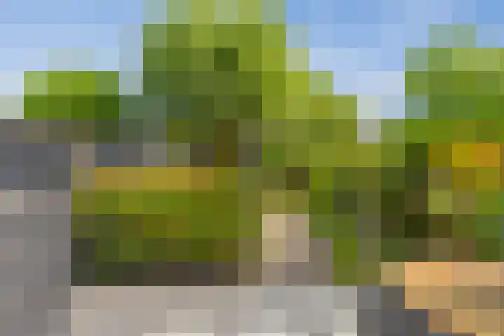 Vijfkamp 15 Krimpen aan den IJssel thumbnail 35