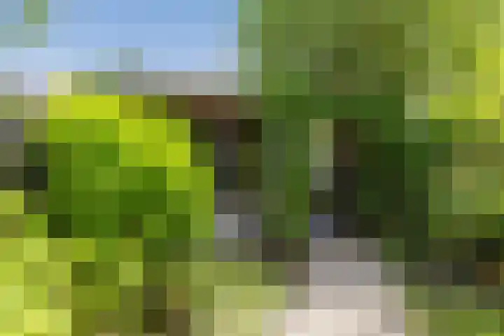 Vijfkamp 15 Krimpen aan den IJssel thumbnail 36