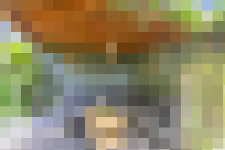 Vijfkamp 15 Krimpen aan den IJssel thumbnail 37