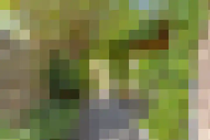 Vijfkamp 15 Krimpen aan den IJssel thumbnail 38