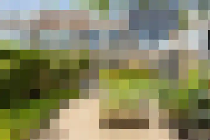 Vijfkamp 15 Krimpen aan den IJssel thumbnail 39