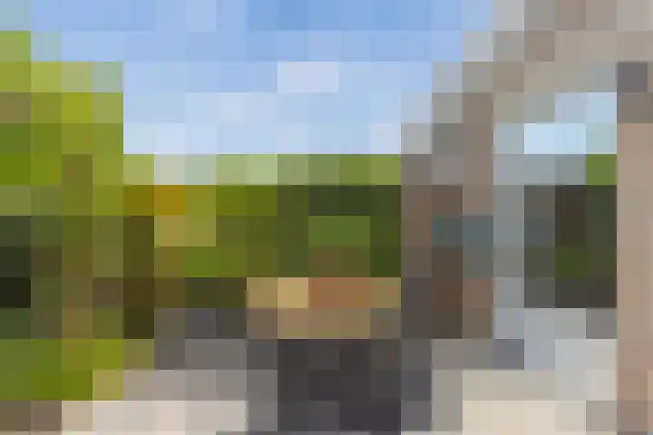 Vijfkamp 15 Krimpen aan den IJssel thumbnail 41