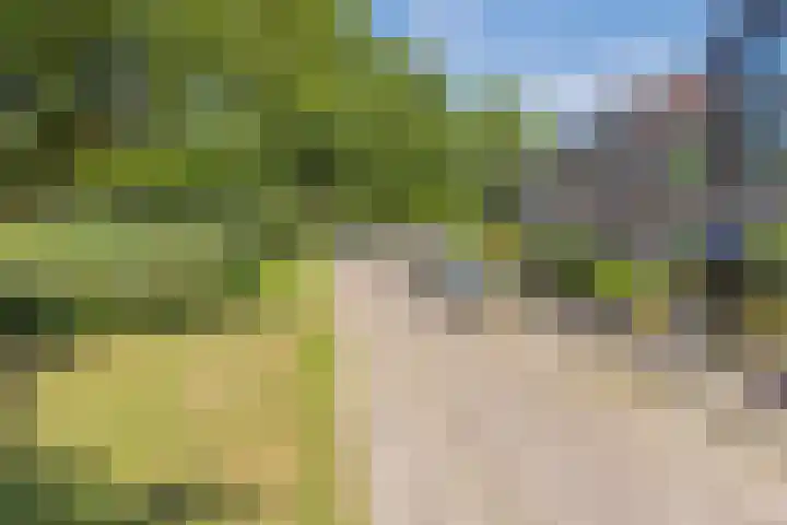 Vijfkamp 15 Krimpen aan den IJssel thumbnail 42