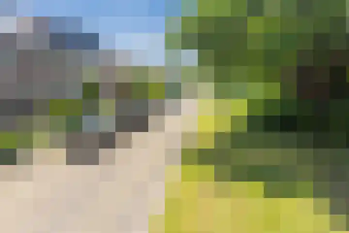 Vijfkamp 15 Krimpen aan den IJssel thumbnail 43