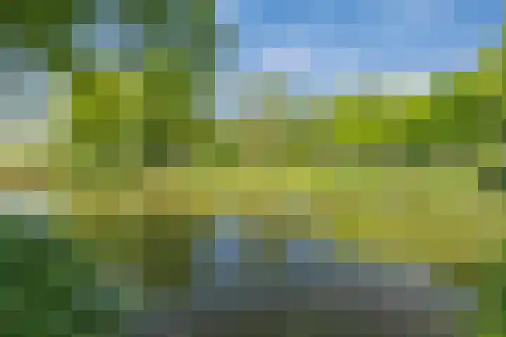 Vijfkamp 15 Krimpen aan den IJssel thumbnail 46