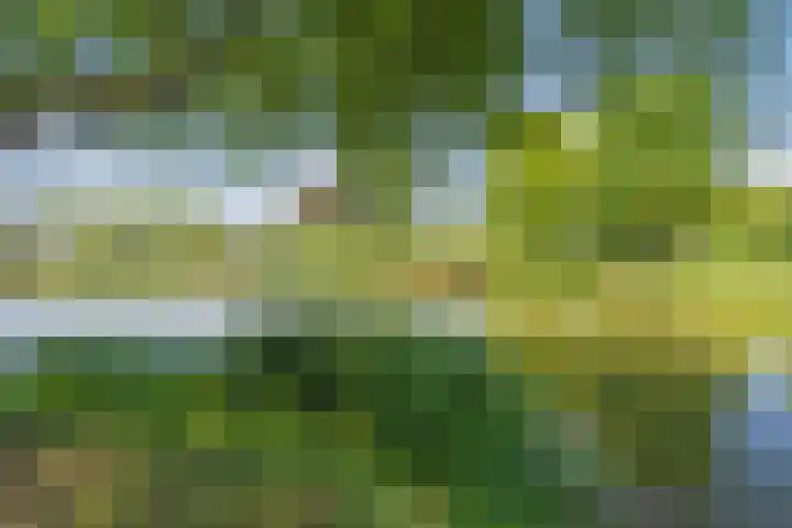 Vijfkamp 15 Krimpen aan den IJssel thumbnail 47