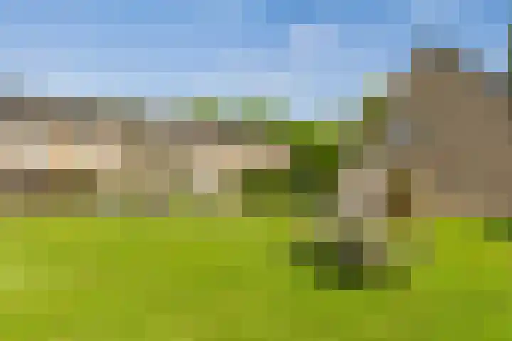 Vijfkamp 15 Krimpen aan den IJssel thumbnail 48