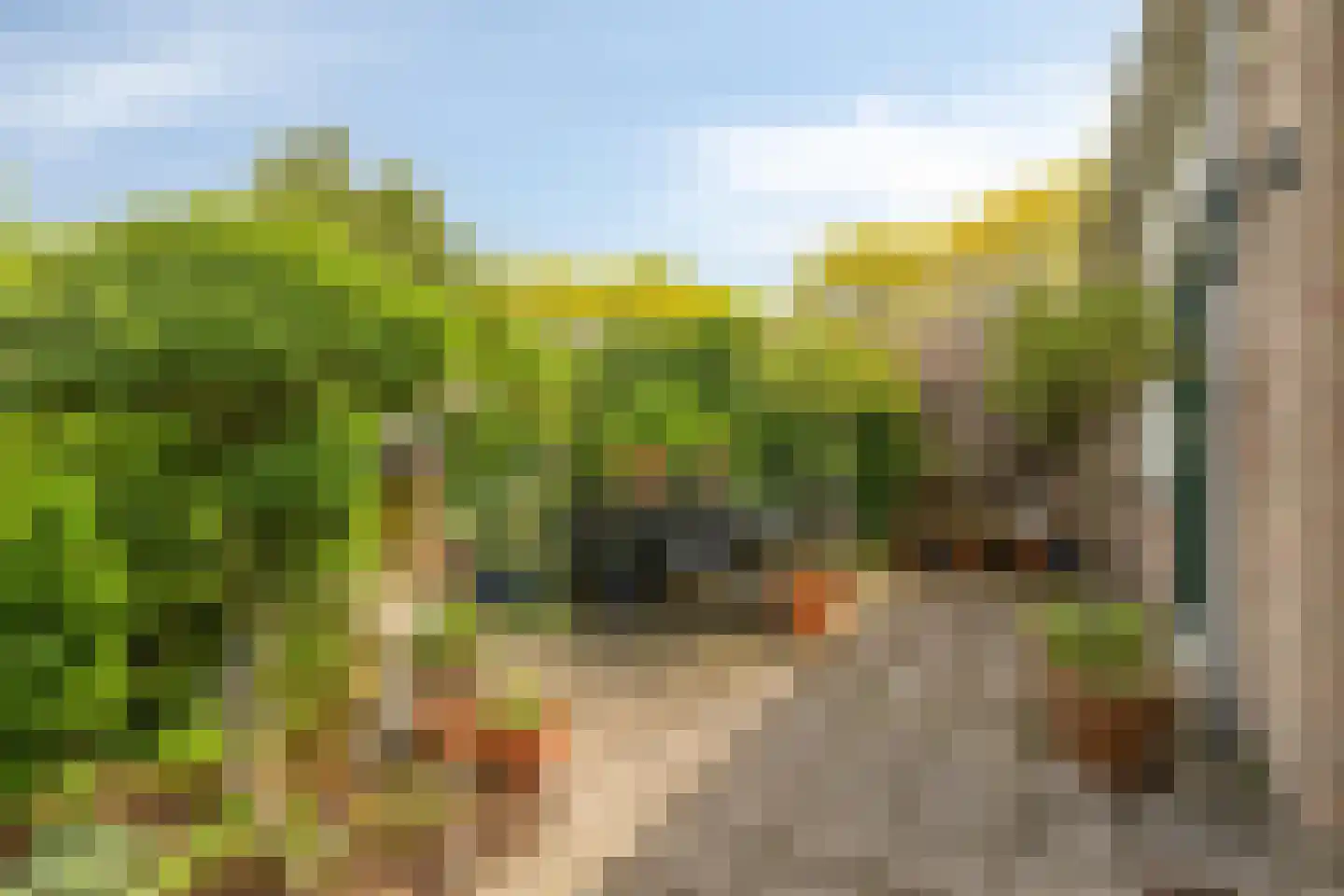 Vijfkamp 47 Krimpen aan den IJssel thumbnail 22