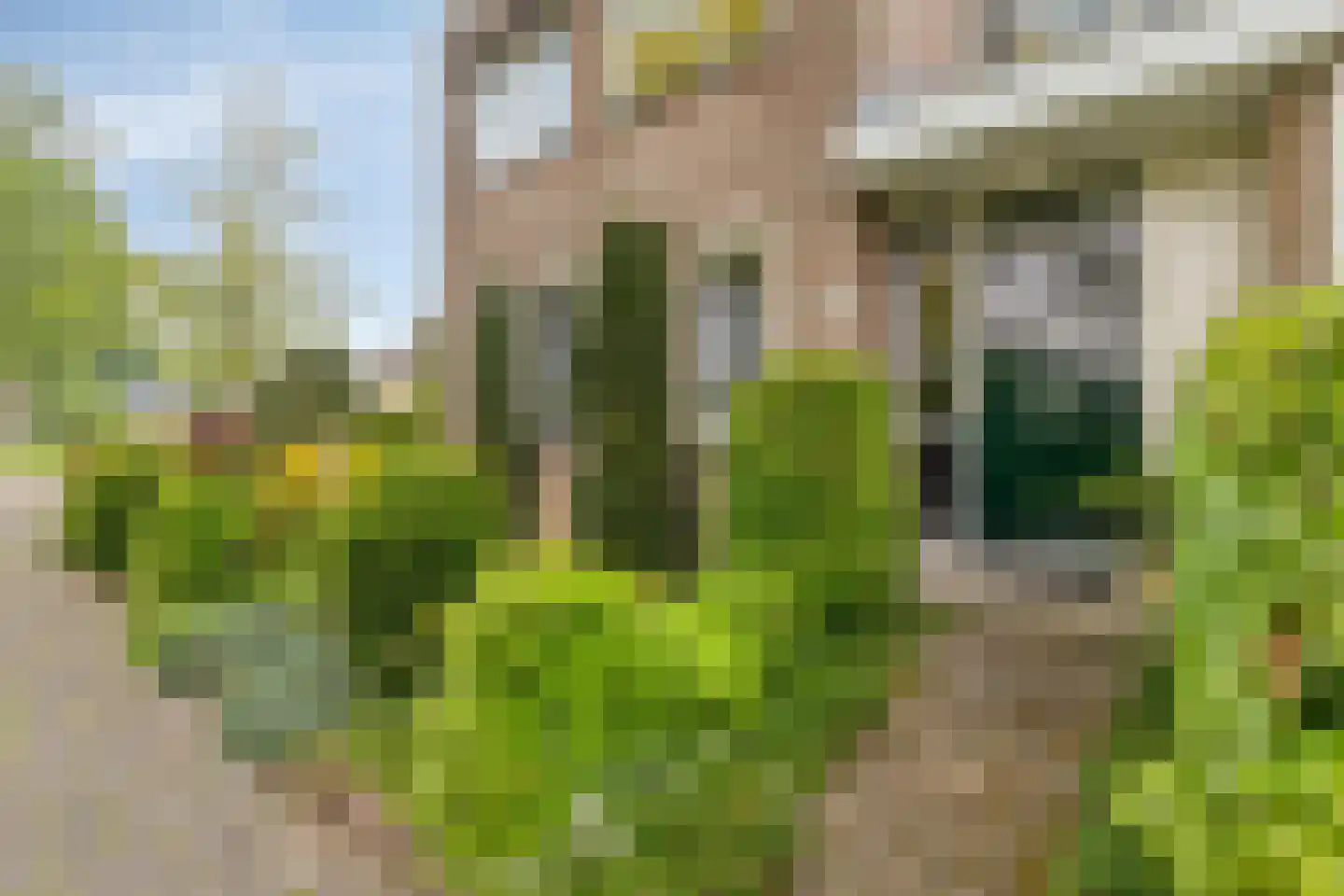 Vijfkamp 47 Krimpen aan den IJssel thumbnail 27