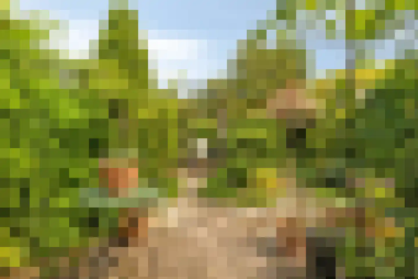 Vijfkamp 47 Krimpen aan den IJssel foto 3