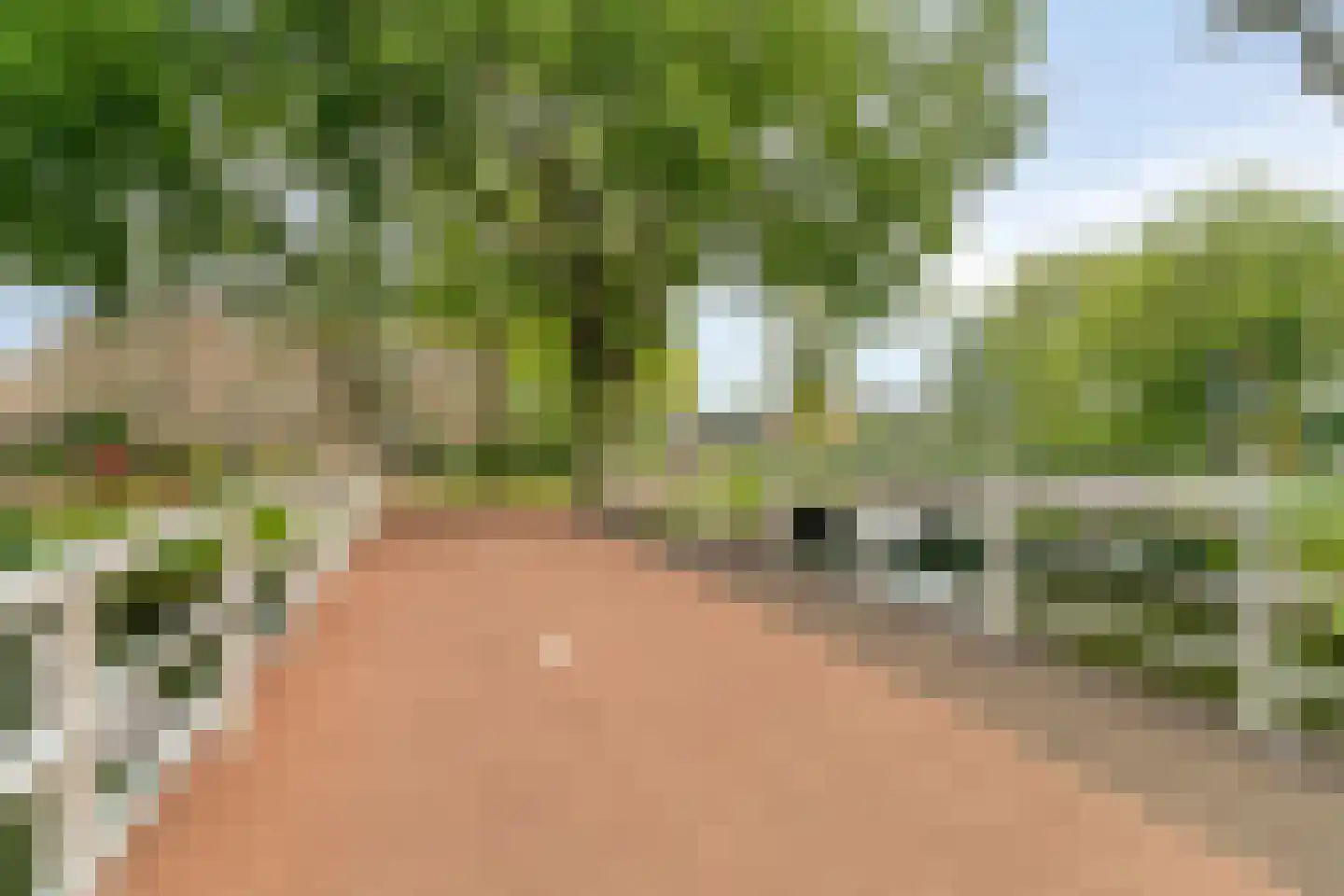 Vijfkamp 47 Krimpen aan den IJssel thumbnail 30