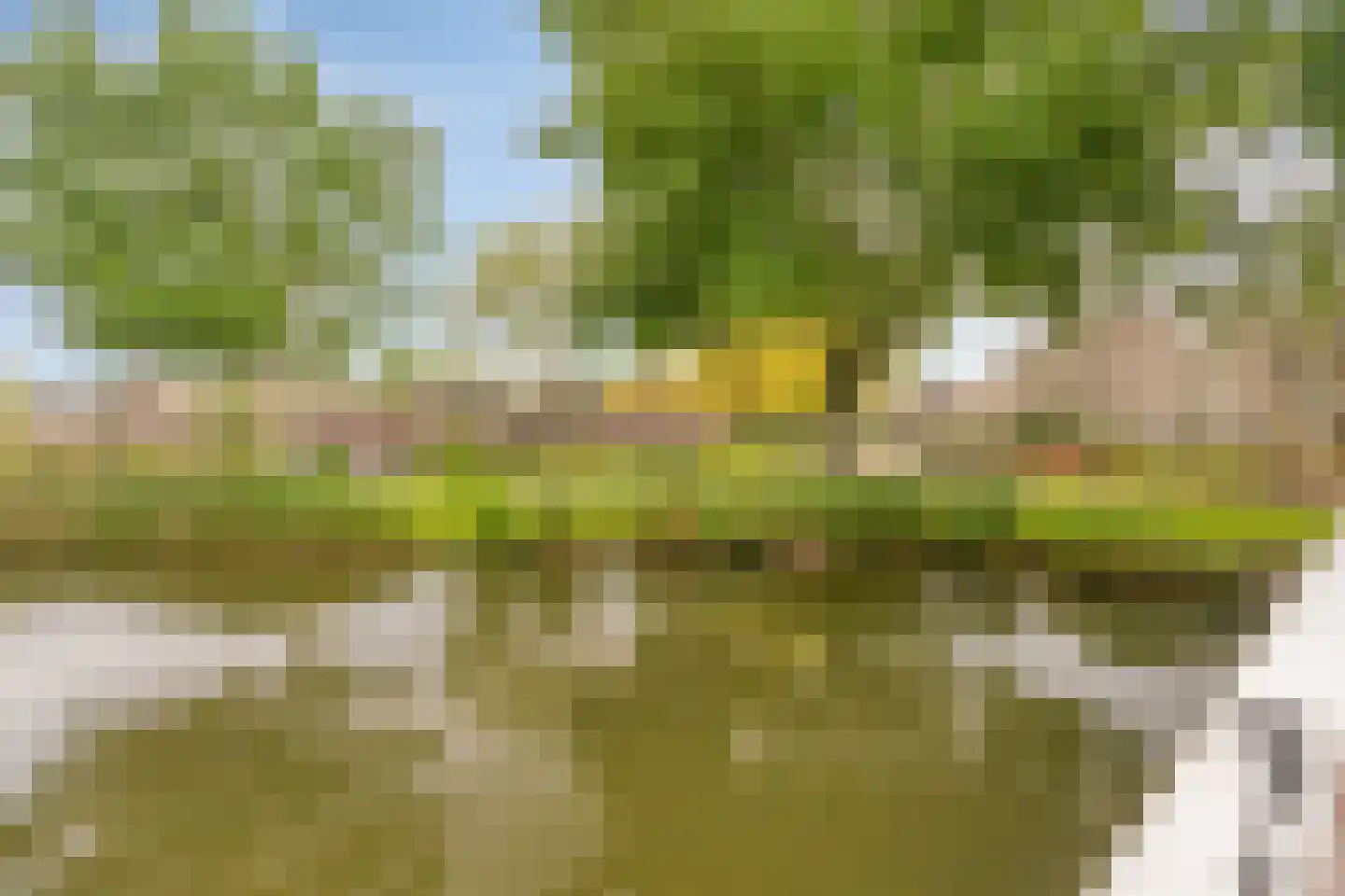 Vijfkamp 47 Krimpen aan den IJssel thumbnail 31