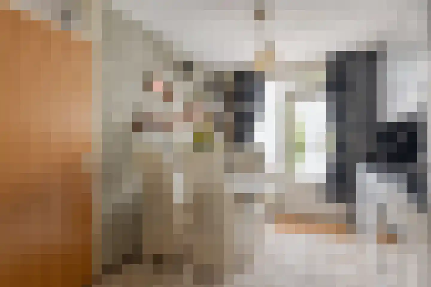 Vijfkamp 47 Krimpen aan den IJssel thumbnail 7