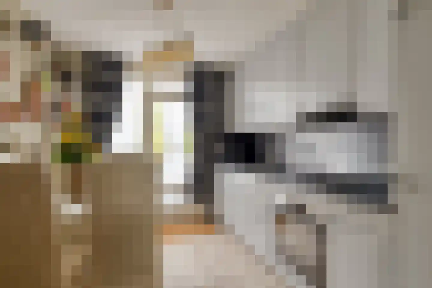 Vijfkamp 47 Krimpen aan den IJssel thumbnail 8