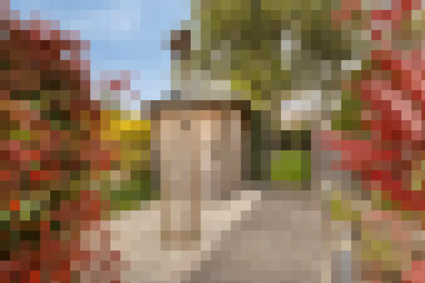 Vijfkamp 53 Krimpen aan den IJssel thumbnail 28
