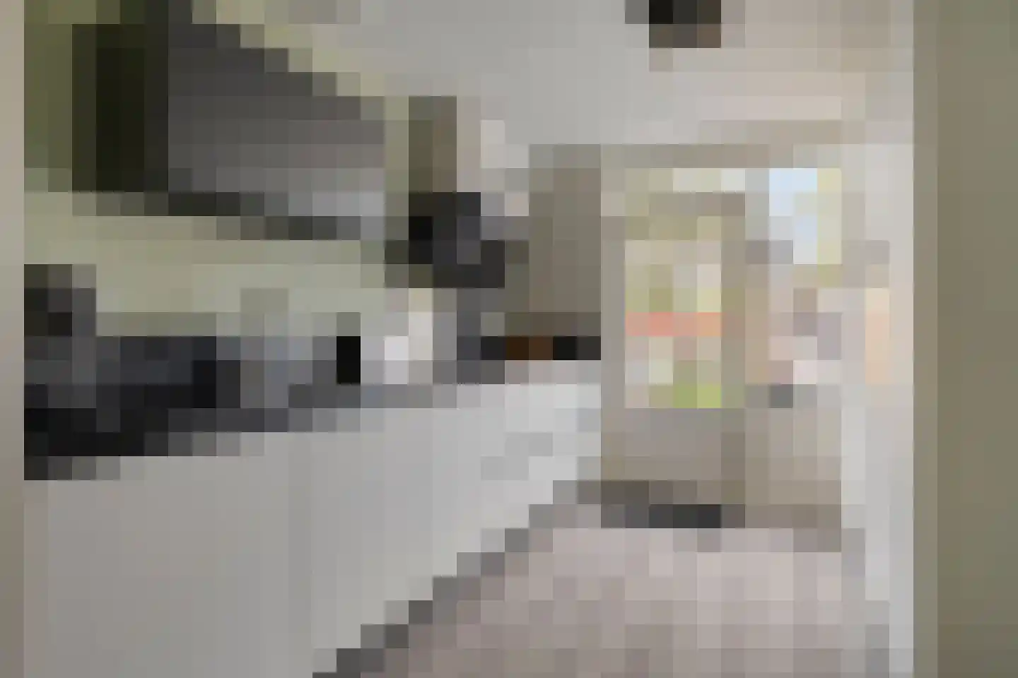 Vijfkamp 53 Krimpen aan den IJssel thumbnail 8