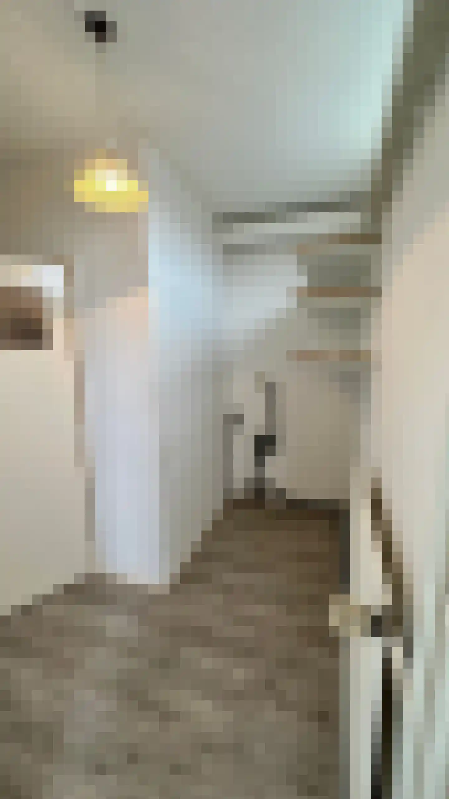 Vijfmeiweg 16 Sassenheim thumbnail 12