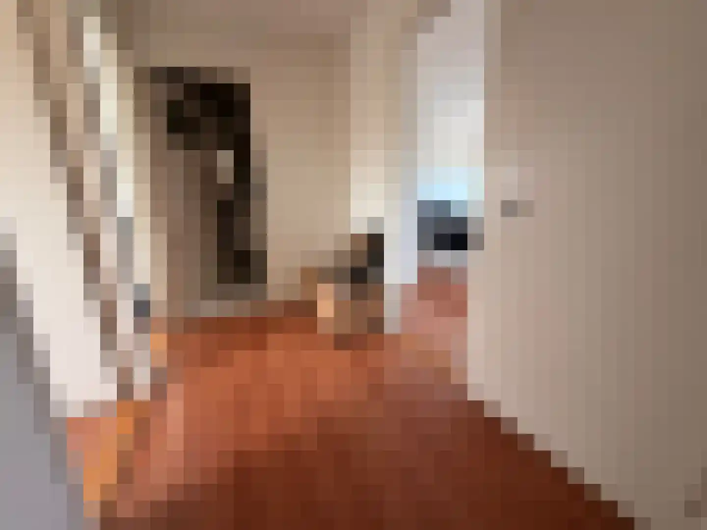 Vijfmeiweg 16 Sassenheim thumbnail 12