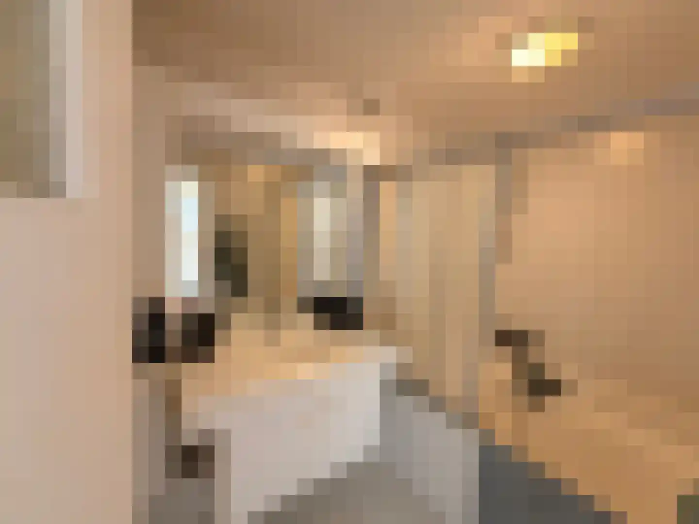 Vijfmeiweg 16 Sassenheim thumbnail 13