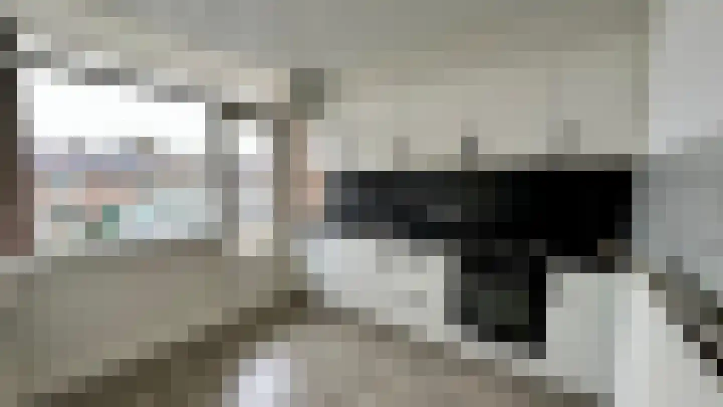 Vijfmeiweg 16 Sassenheim thumbnail 8