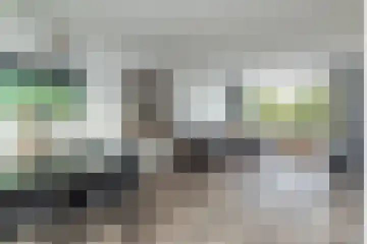 Vijfmeiweg 2 Sassenheim thumbnail 14