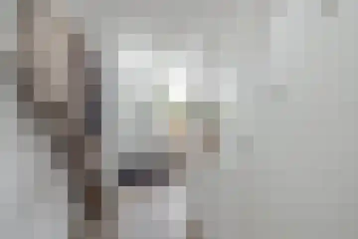 Vijfmeiweg 2 Sassenheim thumbnail 20
