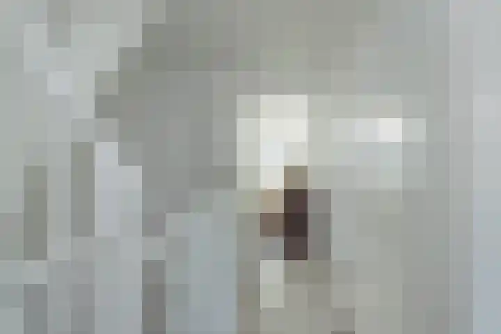 Vijfmeiweg 2 Sassenheim thumbnail 25