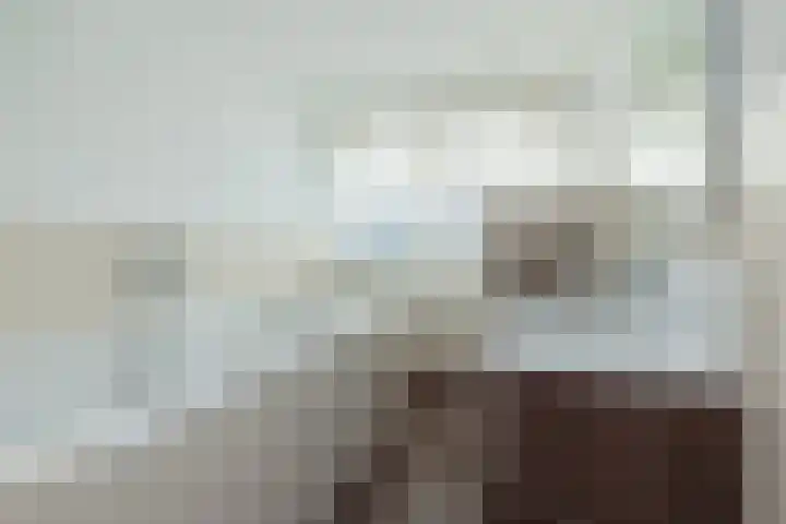 Vijfmeiweg 2 Sassenheim thumbnail 27