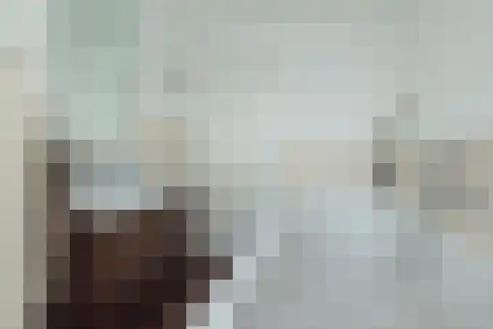 Vijfmeiweg 2 Sassenheim thumbnail 30