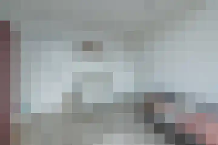 Vijfmeiweg 2 Sassenheim thumbnail 34