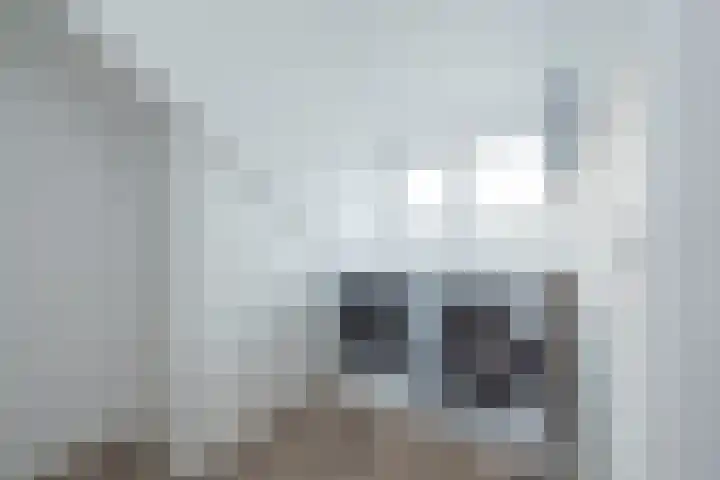 Vijfmeiweg 2 Sassenheim thumbnail 44