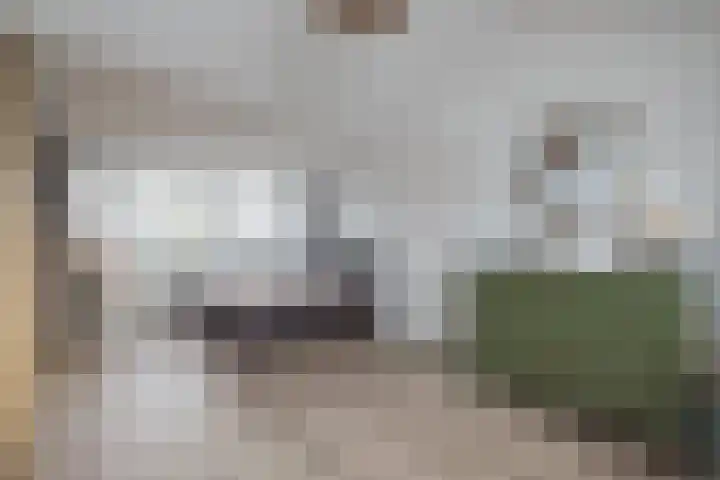 Vijfmeiweg 2 Sassenheim thumbnail 47