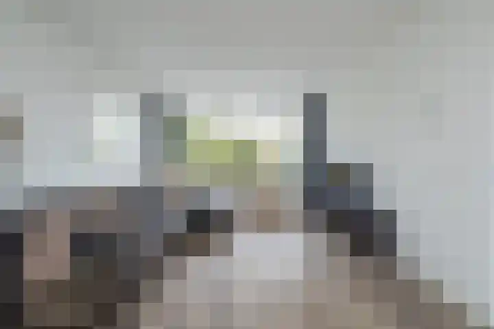 Vijfmeiweg 2 Sassenheim thumbnail 5