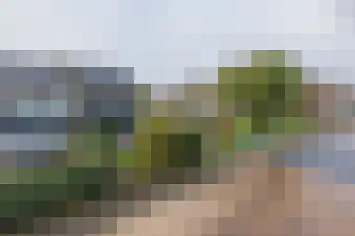 Vijfmeiweg 2 Sassenheim thumbnail 54