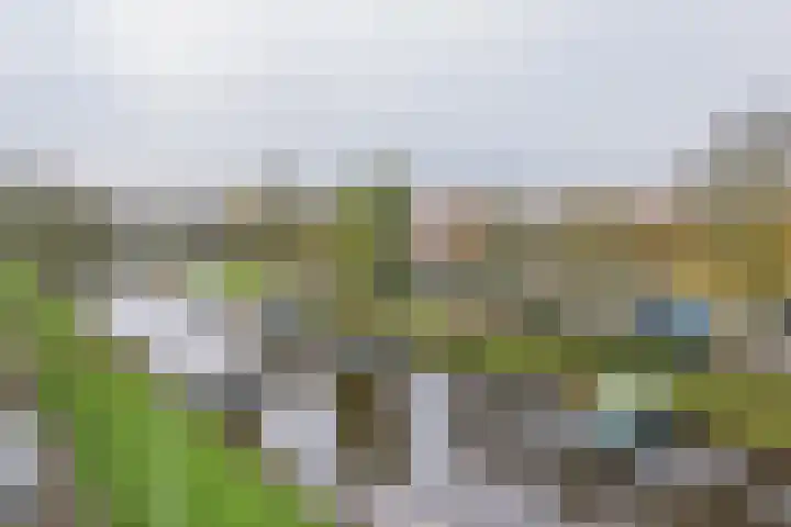 Vijfmeiweg 2 Sassenheim thumbnail 55