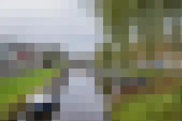 Vijfmeiweg 2 Sassenheim thumbnail 56