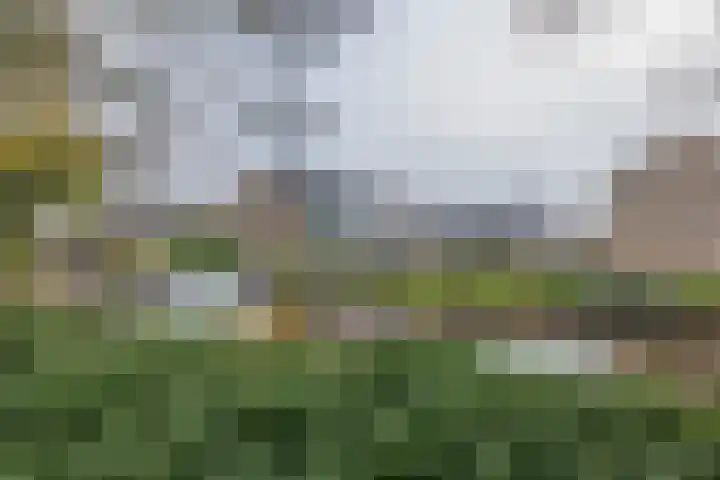 Vijfmeiweg 2 Sassenheim thumbnail 57
