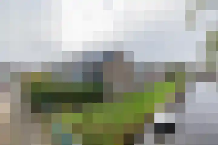Vijfmeiweg 2 Sassenheim thumbnail 58