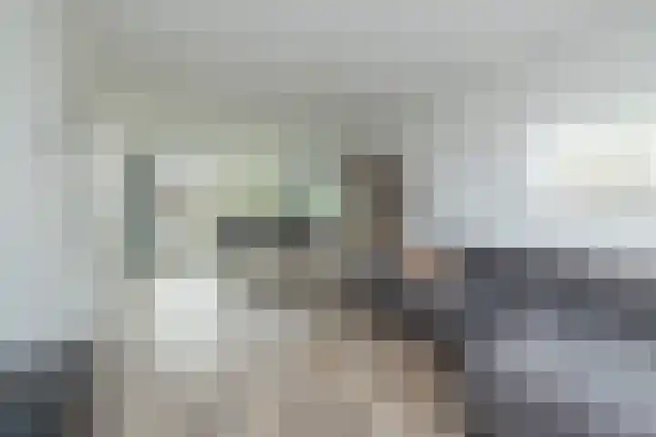 Vijfmeiweg 2 Sassenheim thumbnail 7