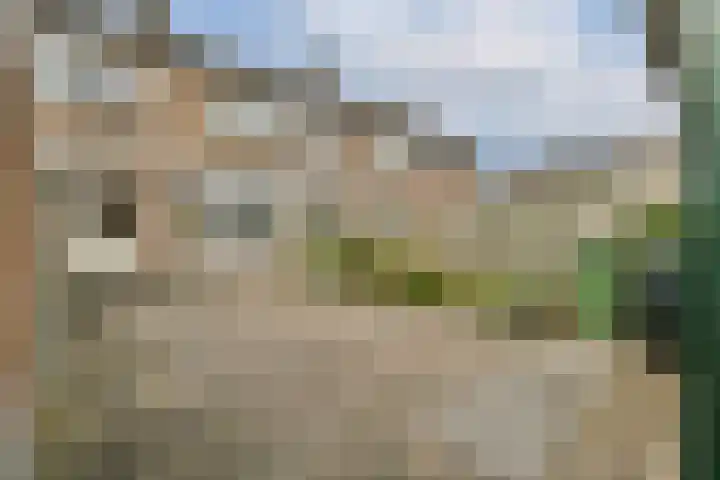 Vijfmeiweg 21 Sassenheim thumbnail 10