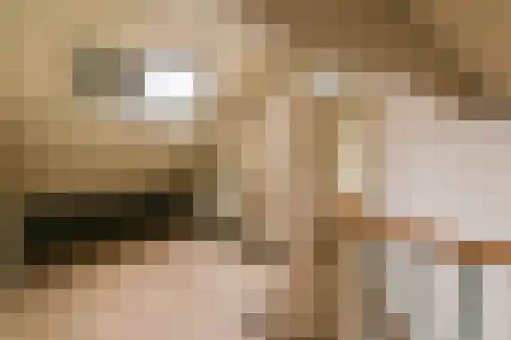 Vijfmeiweg 21 Sassenheim thumbnail 16