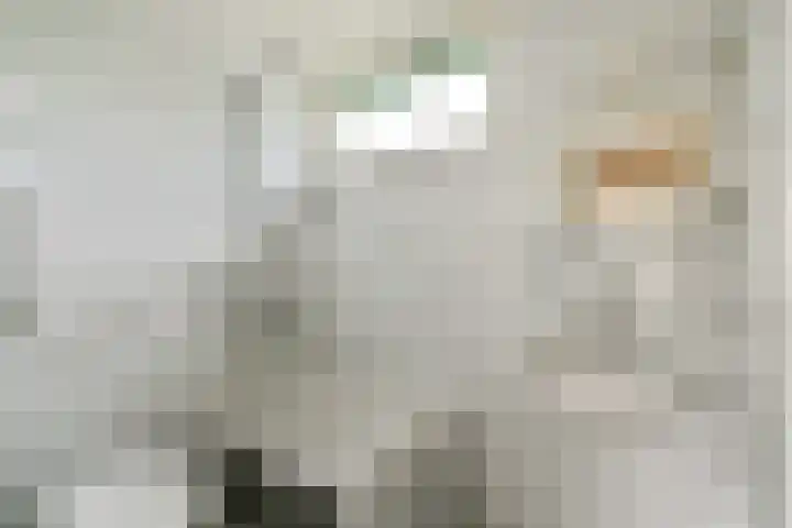 Vijfmeiweg 21 Sassenheim thumbnail 17