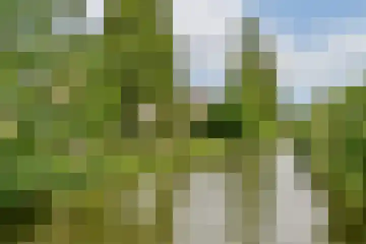 Vijfmeiweg 21 Sassenheim thumbnail 21
