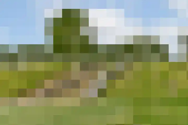 Vijfmeiweg 21 Sassenheim thumbnail 22