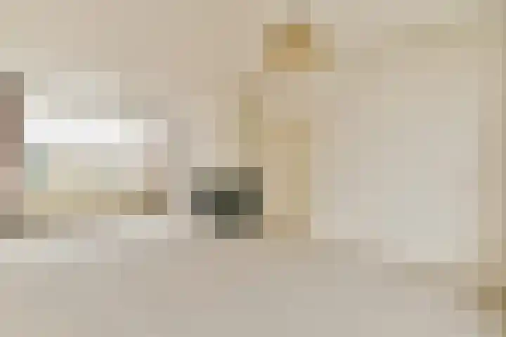 Vijfmeiweg 21 Sassenheim thumbnail 4