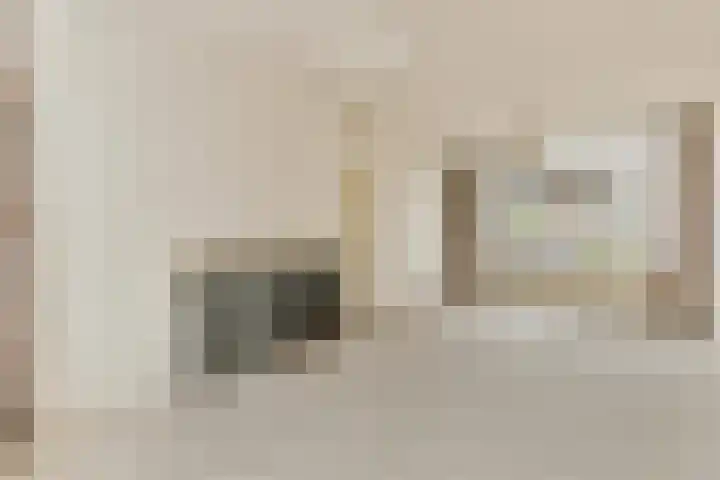 Vijfmeiweg 21 Sassenheim thumbnail 5