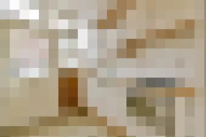 Vijfmeiweg 21 Sassenheim thumbnail 7